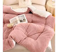 YWQJL Piumone Invernale Caldo Piumino Matrimoniale Trapunta Morbida e Confortevole Trapuntato Coperta Pile Matrimoniale Piumoni Invernali Trapunte(#4,150x200cm/2.5kg)