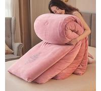 YWQJL Piumoni Matrimoniali Invernali Trapuntino in Morbido e Caldo Piumone Imbottito Trapunta Matrimoniale Invernale Cotone Coperta Termica Addensare Fluffy(#4,200x230cm/5kg)