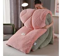 YWQJL Piumoni Traspirante Coperte Pile Piumone Matrimoniale Invernale Trapunta in Morbido e Caldo Piumino Letto Singolo Trapunte Matrimoniali Invernali(#8,200x230cm/4kg)