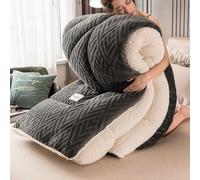 YWQJL Piumoni Traspirante Coperte Pile Piumone Matrimoniale Invernale Trapunta in Morbido e Caldo Piumino Letto Singolo Trapunte Matrimoniali Invernali(#1,150x200cm/2.5kg)