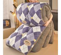 YWQJL Trapunta Invernale Matrimoniale Agnello Coperta Matrimoniale Invernale Calda Piumoni Una Piazza E Mezza Trapunta in Lana d'Agnello(a4,150x200cm/2.5kg)