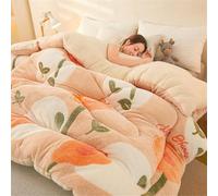 YWQJL Trapunta Invernale Matrimoniale,Piumino Spesso con Nucleo Trapuntato Invernale,Trapunta Piumino Invernale in Tessuto Flanellato Caldo Piumone in Pile Sherpa(7,200 * 230cm/5kg)