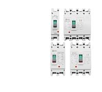 YWRWUPMGK Interruttore Automatico DC 1000V 500V 2P 3 4 Poli Mccb 48V 72V 96V 200V 250V Tensione 100A 160A 200A 250A 400A 630A Protezione Solare fotovoltaica(300a,2P DC500V)