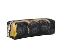 YWSOTRE Affenpinscher Famiglia Cuccioli Cani Neri Scimmia, Astuccio per matite Astuccio per penne Astuccio per matite in pelle portatile con astuccio cosmetico con cerniera