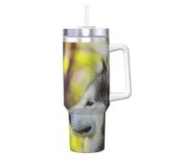 YWSOTRE Alaskan Malamute Bokeh Animali Domestici Cani Carini,Tazza Ice Bully da 40 oz con manico, in acciaio inossidabile, con borraccia
