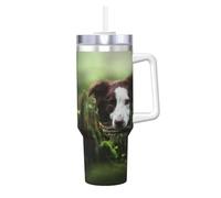 YWSOTRE Border Collie Stone Sweet Brown Cani Animali domestici,Tazza Ice Bully da 40 oz con manico, in acciaio inossidabile, con borraccia