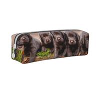 YWSOTRE Cuccioli Labrador Marrone Piccola Famiglia Di Cuccioli, Astuccio per matite Astuccio per penne Astuccio per matite in pelle portatile con astuccio cosmetico con cerniera
