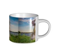 YWSOTRE Schnauzer Lawn Pets Cani grigi Chnauzer, Tazza in ceramica di grande capacità, tazza da tè, tazza da caffè 450 ml