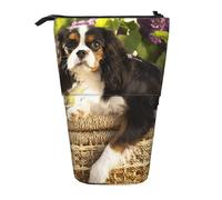 YXDVPALNE Cavalier King Charles Spaniel,Astuccio telescopico, portapenne con supporto e astuccio con cerniera