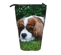 YXDVPALNE Cavalier King Charles Spaniel Bianco brunastro,Astuccio telescopico, portapenne con supporto e astuccio con cerniera