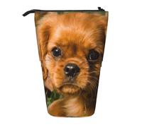 YXDVPALNE Cavalier King Charles Spaniel Brown Curly Dogs,Astuccio telescopico, portapenne con supporto e astuccio con cerniera