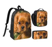 YXDVPALNE Cavalier King Charles Spaniel Brown Curly Dogs,Zaino per studenti, borsa per il pranzo, astuccio portapenne, set da 3 pezzi