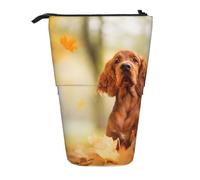 YXDVPALNE Cocker Spaniel Autumn Park Brown Spaniel Dogs,Astuccio telescopico, portapenne con supporto e astuccio con cerniera
