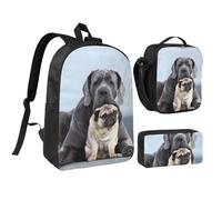 YXDVPALNE Concetti di amicizia tra cani Cane Corso e Carlino,Zaino per studenti, borsa per il pranzo, astuccio portapenne, set da 3 pezzi