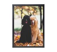 YXDVPALNE Due barboncini reali Autumn, Stampe artistiche da parete con cornice nera, dipinto decorativo da appendere alla parete, 30 x 40 cm