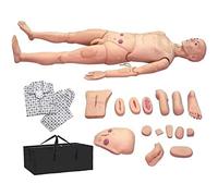 YXFAZPP Modello di Scheletro 170 cm a grandezza Naturale Full Body per la Cura del paziente Simulatore di Pronto Soccorso per la Cura dei traumi Manichino per l'insegnamento della