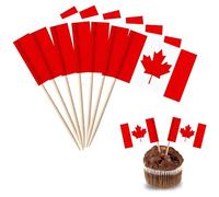 YXHZVON Mini Canada Bandiera Stuzzicadenti, 100 Pezzi Bandiera Stuzzicadenti da Cocktail, Cocktail Stick Bandiere per Panini Frutta Festa Pub Decorazione di Eventi Reali