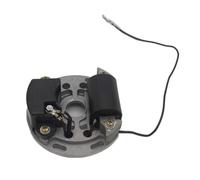 YXIUEYINGE Bobina di accensione Adatta for Motosega a Benzina Professionale STI-HL MS070 MS 070, Sostituzione e Riparazione aftermarket Tramite