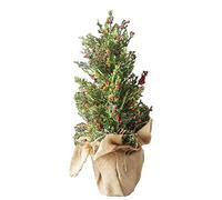 YXWYXWA PVC - cipresso, Decorazione per Albero di Neve con Piccoli Frutti Rossi, Natale, Albero Decorativo per la scrivania, utilizzato per l'atmosfera dello Shopping in Ufficio a casa