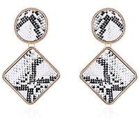 YXWYXWA Retro Hipster Hundred Collocations with Exaggerated Leopard Print Metal Geometric Earrings Hoop Earrings Women Cross Earrings Stud Earrings for Girls Retro/A