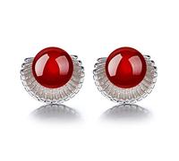 YXWYXWA Stud Earrings for Women Silver Jewelry with Gemstones Female Red Black Agate Ear Studs Scallop Shaped Gift),additionalWeblabs:(Pax_Checkout_Buy_Now_GC_Tango_1121297":"