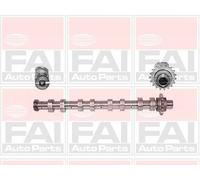 YY ALBERO A CAMME FIAT FORD CITROEN MAZDA MINI PEUGEOT SANTANA VOLVO FAI C267