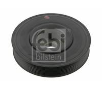 YY PULEGGIA ALBERO MOTORE NISSAN PRIMERA RENAULT SCÉNIC MEGANE LAGUNA FEBI 36244