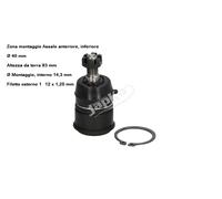 YY TESTINA SOSPENSIONE ANT. INF. PER HONDA ACCORD - CIVIC - DOMANI JAPKO 73416