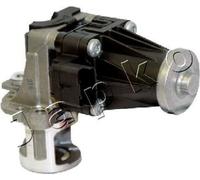 YY VALVOLA RICIRCOLO GAS SCARICO-EGR CITROEN C3/C4 PEUGEOT 207/308 JAP 1500308