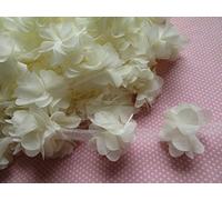 YYCRAFT - Nastro in pizzo con fiore in chiffon da 5 cm, accessori per capelli fai da te (3,7 m) Ivory