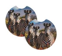 YYHHAOFA Zebre sul Sud Africa stampa sottobicchieri auto confezione da 2 - durevole, impermeabile ed elegante protezione portabicchieri