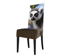 YYHWHJDE Aekgohp, coprisedia rimovibili con motivo a lemuri con coda ad anelli, morbidi, confortevoli, resistenti alle pieghe, non necessitano di stiratura, elasticizzati per la maggior parte delle