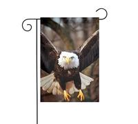 YYHWHJDE Aquila che vola nel cielo modello bandiera giardino cortile decorazione 30,5 x 45,7 cm spessore durevole