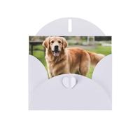 YYHWHJDE Biglietto di auguri bianco carino golden retriever modello per festa di compleanno invito festivo