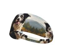 YYHWHJDE Border Collie Picture - Fascia sportiva da donna, a prova di sudore, fascia elastica estiva