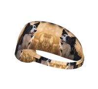 YYHWHJDE Border Collie Picture - Fascia sportiva da donna, a prova di sudore, fascia elastica estiva