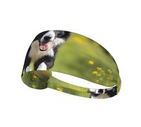 YYHWHJDE Border Collie Picture - Fascia sportiva da donna, a prova di sudore, fascia elastica estiva