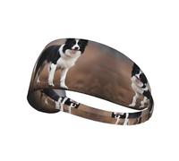 YYHWHJDE Border Collie Picture - Fascia sportiva da donna, a prova di sudore, fascia elastica estiva