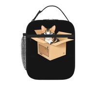 YYHWHJDE Borsa termica portatile per il pranzo con gatto randagio in una scatola di cartone modello riutilizzabile borsa per il pranzo durevole per uomini e donne facile da trasportare