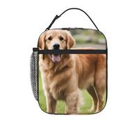 YYHWHJDE Borsa termica portatile per il pranzo, con motivo Golden Retriever, riutilizzabile, durevole, per uomini e donne