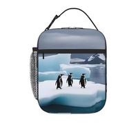 YYHWHJDE Borsa termica portatile per il pranzo con pinguini sull'iceberg modello riutilizzabile borsa per il pranzo durevole per uomini e donne
