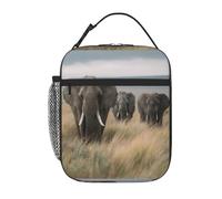 YYHWHJDE Borsa termica portatile per il pranzo, motivo: elefanti africani nelle praterie, riutilizzabile, durevole, per uomini e donne, facile da trasportare