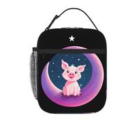 YYHWHJDE Borsa termica portatile per il pranzo, motivo: maialino rosa sulla luna colorata, riutilizzabile, durevole, per uomini e donne, facile da trasportare