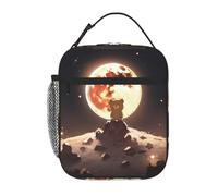 YYHWHJDE Borsa termica portatile per il pranzo, motivo: orsetto marrone che guarda la luna, riutilizzabile, durevole, per uomini e donne, facile da trasportare