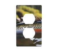 YYHWHJDE Brook - Pannello decorativo per pesca a mosca e trota con doppia presa, resistente e adatto per prese di luce, 11,4 x 7 cm
