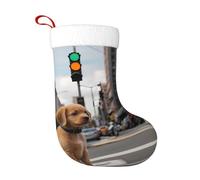 YYHWHJDE Calze decorative natalizie Cucciolo in attesa del semaforo Stampe utilizzate per attività della comunità, spettacoli teatrali e riunioni di festa