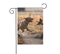 YYHWHJDE Cane cattura fagiano modello giardino pennone esterno cortile decorazione moda 30,5 x 45,7 cm