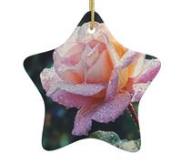 Yyhwhjde - Ciondolo decorativo in ceramica a forma di stella da appendere all'albero di Natale, rugiada mattutina su rose, design squisito, 7,9 x 7,9 cm