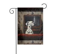 YYHWHJDE Dalmata guardare la TV Picture Garden pennone esterno cortile decorazione su entrambi i lati 30,5 x 45,7 cm