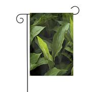 YYHWHJDE Decorazione per cortile con bandiera da giardino, motivo calamo, 30,5 x 45,7 cm, spessa e durevole